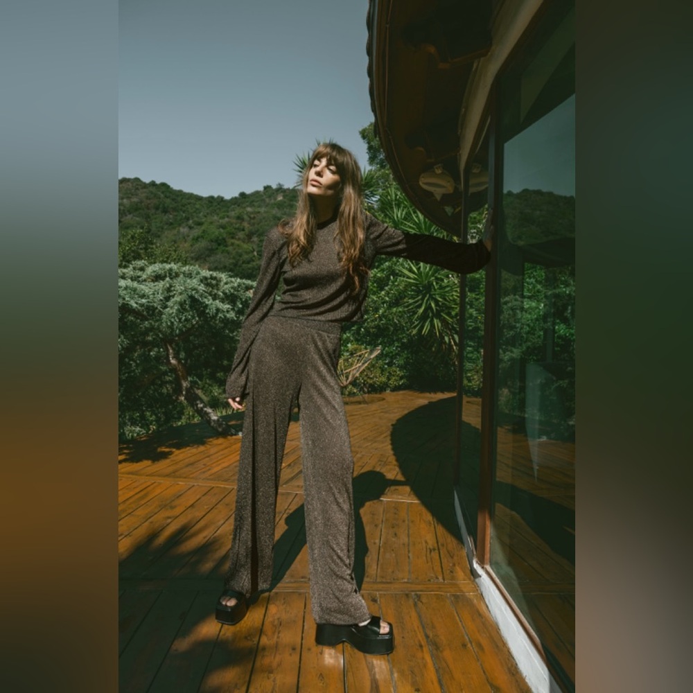 NWOT Zara metallic thread pants